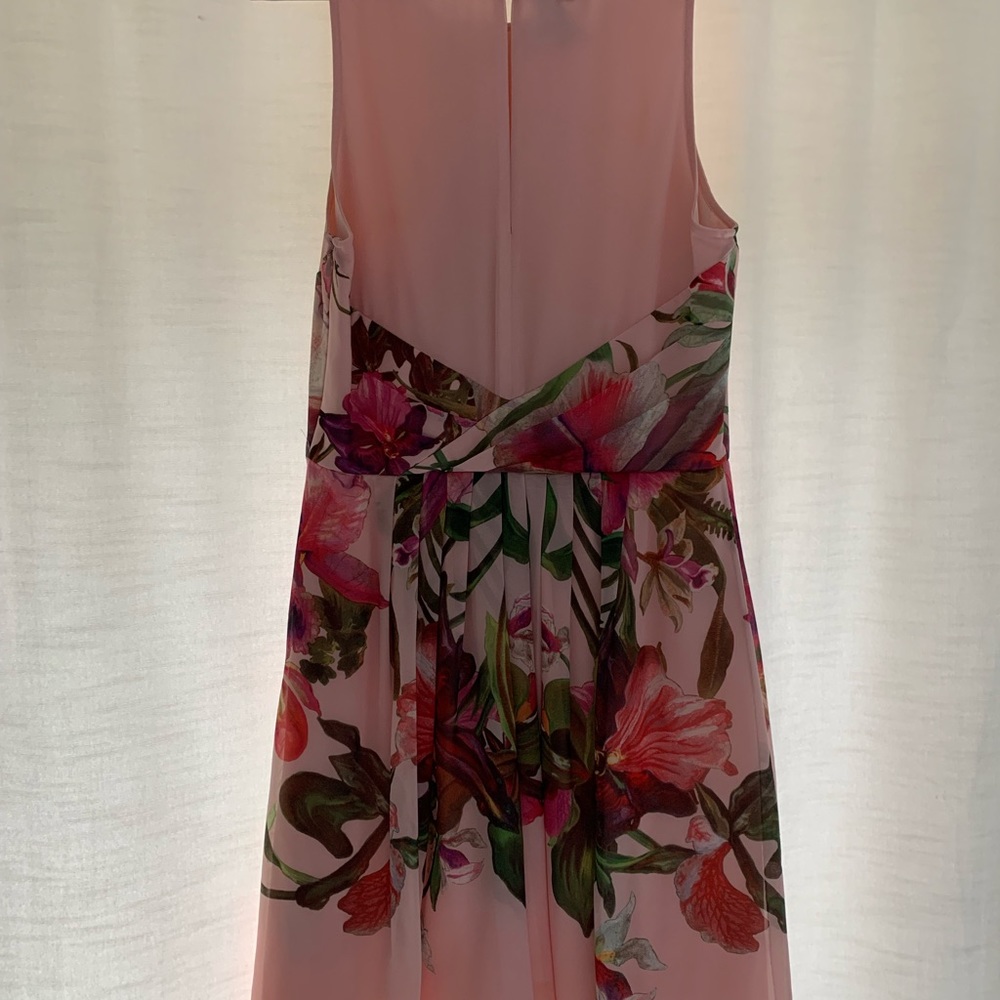 Ted Baker Size 2 Carlii dress - Picture 4 of 9